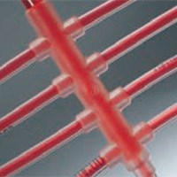 バイオシンプレックス(Bio-Simplex)マニホールド